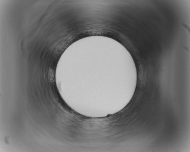 X0000103490025200810241112