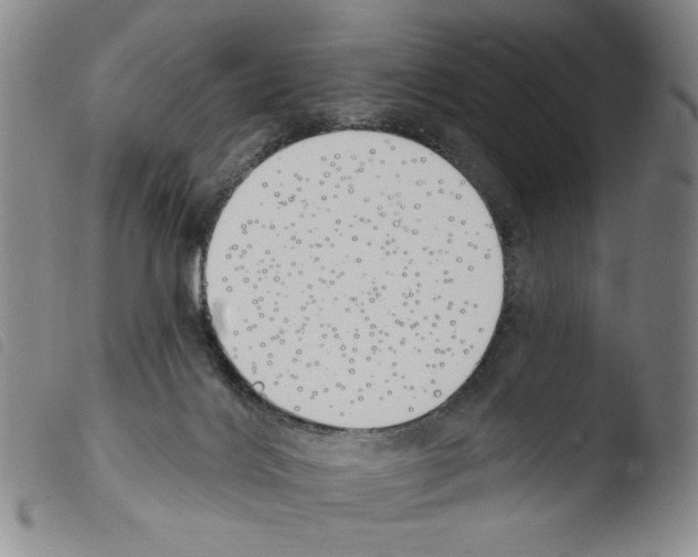 X0000103490028200810241112