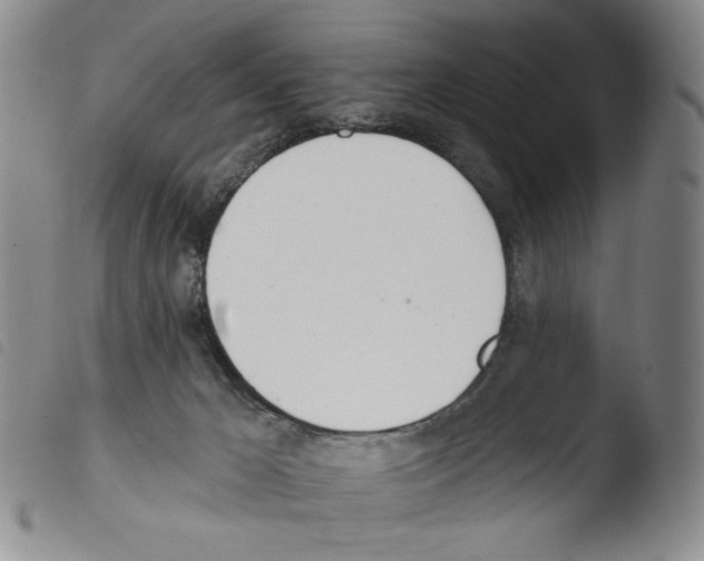 X0000103490029200810241112