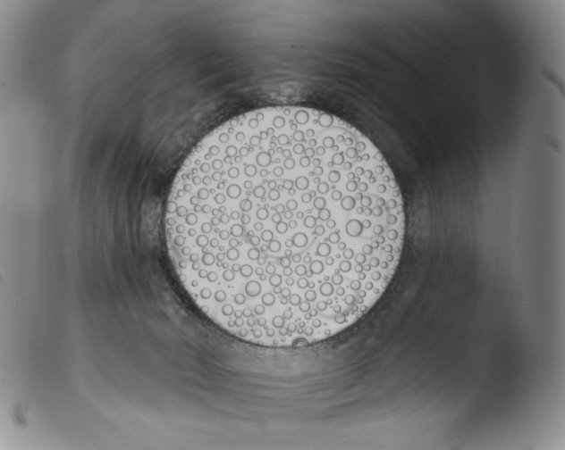 X0000103490030200810241111