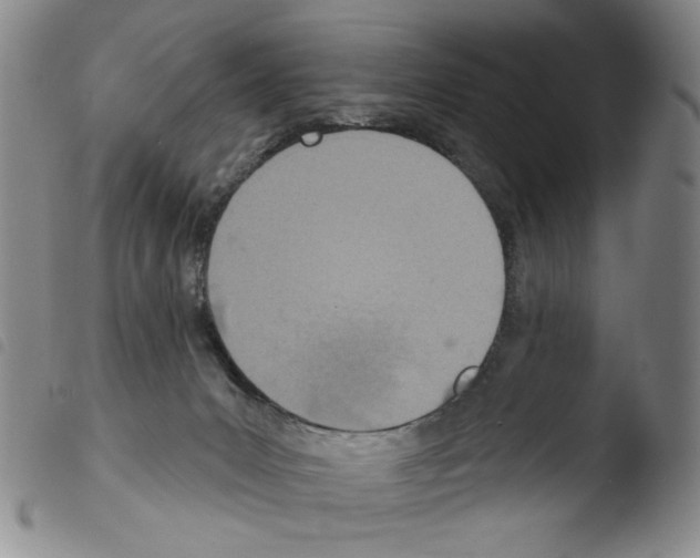 X0000103490031200810241111