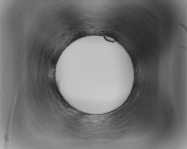 X0000103490033200810241111