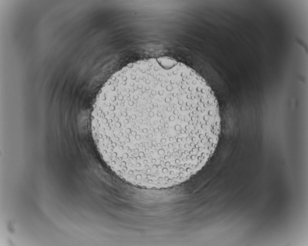 X0000103490034200810241111
