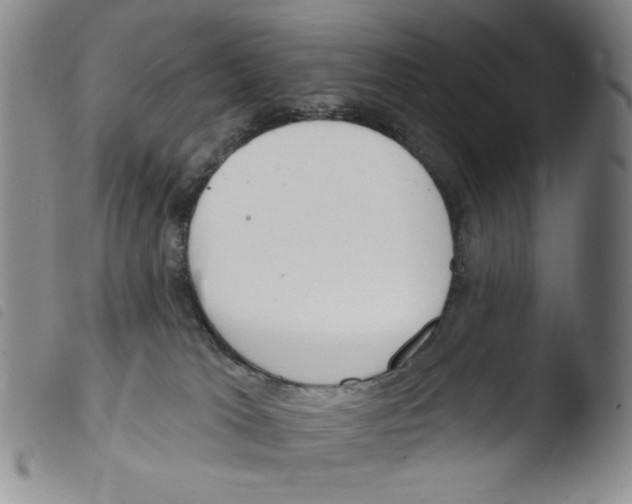 X0000103490037200810241111