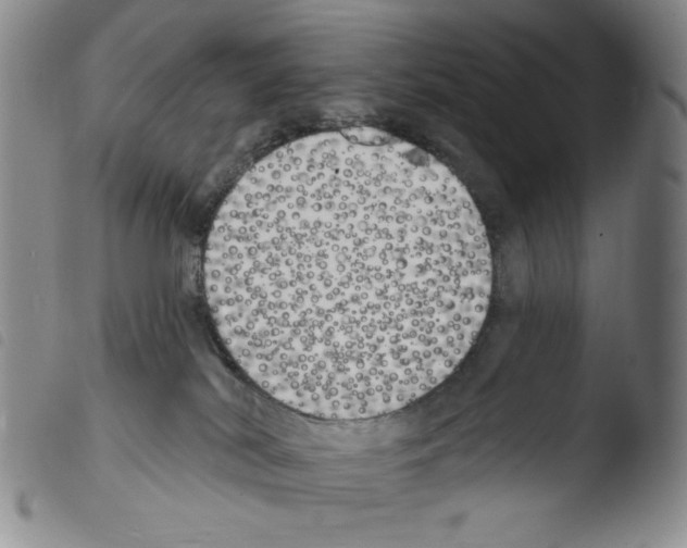 X0000103490038200810241111