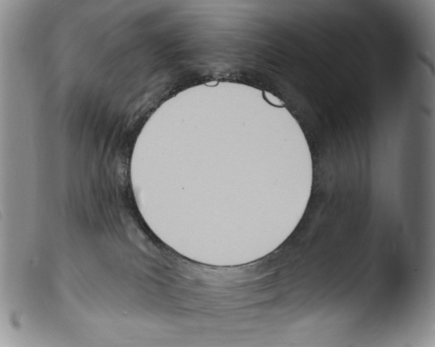 X0000103490039200810241111