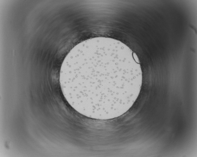 X0000103490040200810241111