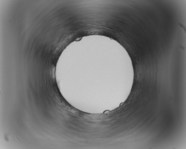 X0000103490041200810241111