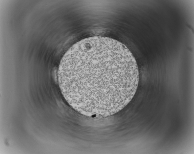 X0000103490042200810241111