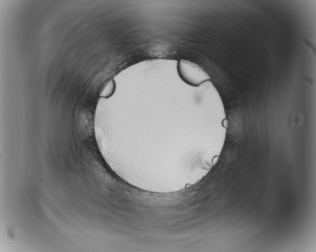 X0000103490043200810241111