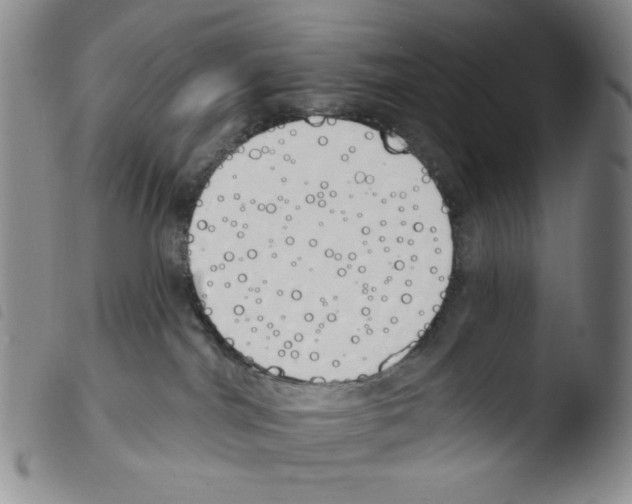 X0000103490044200810241111