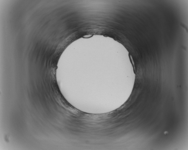 X0000103490045200810241111