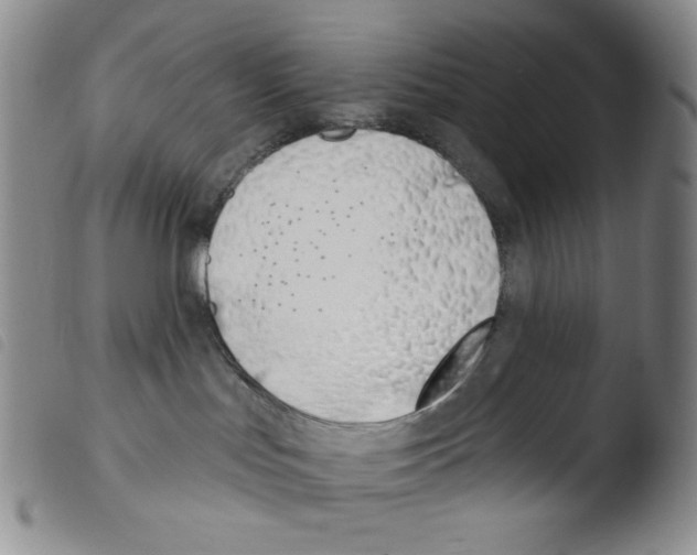 X0000103490047200810241111