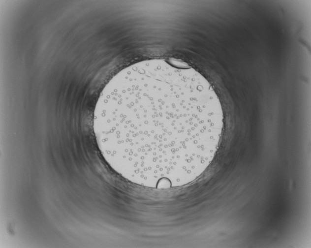 X0000103490048200810241111