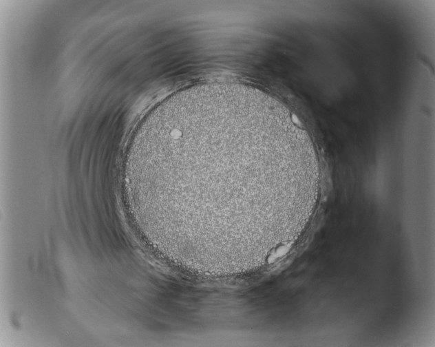 X0000103490049200810241111