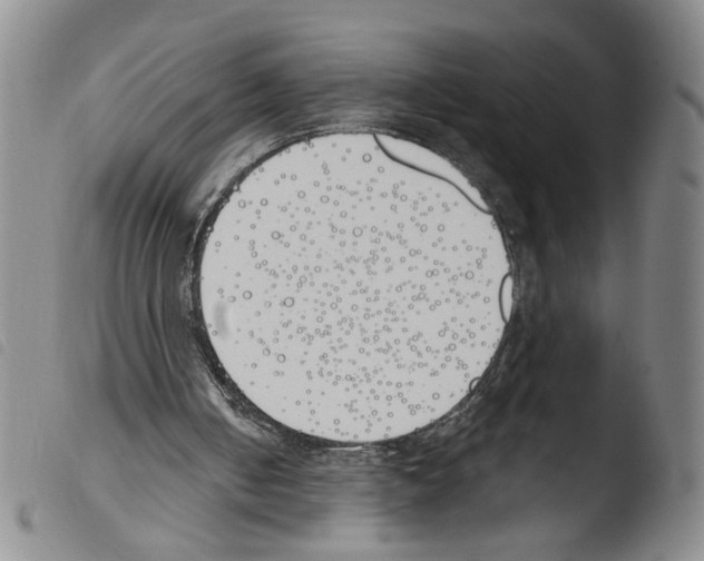 X0000103490050200810241111