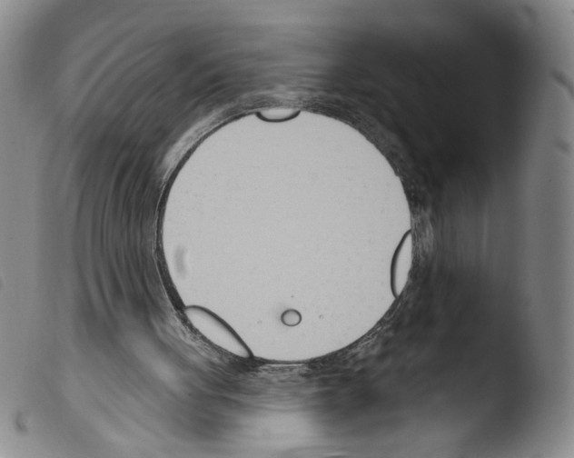 X0000103490051200810241111