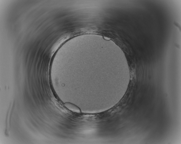 X0000103490052200810241111