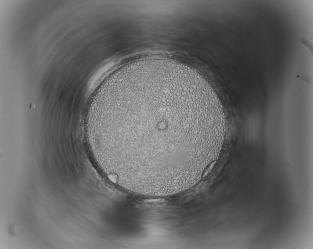 X0000103490053200810241111
