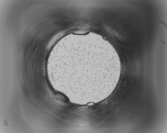 X0000103490054200810241111
