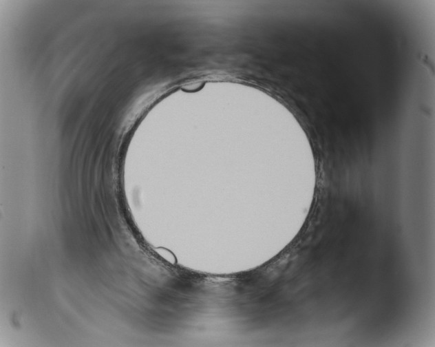 X0000103490055200810241111