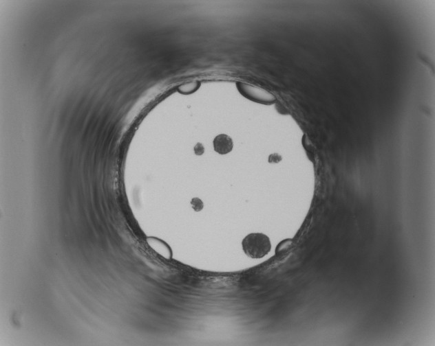 X0000103490056200810241111