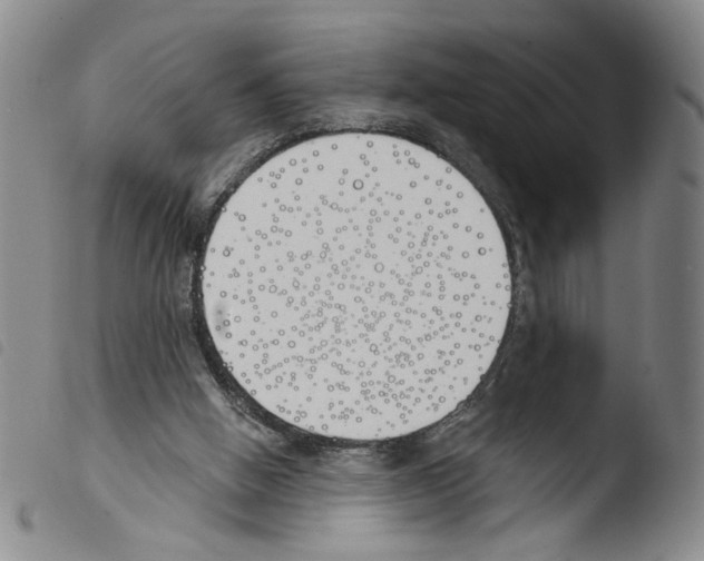 X0000103490058200810241111