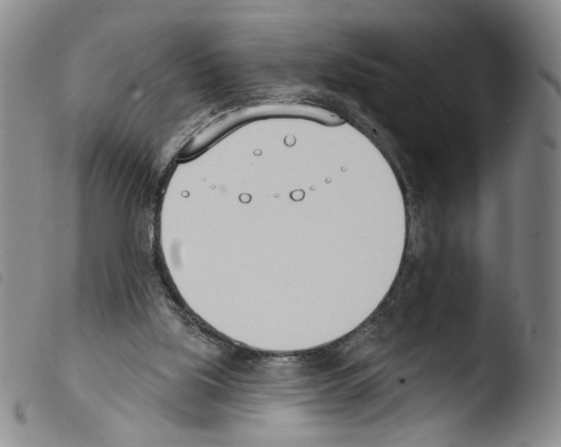 X0000103490059200810241111