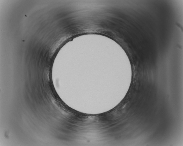 X0000103490060200810241111