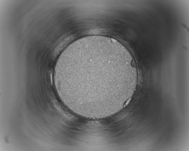 X0000103490061200810241111