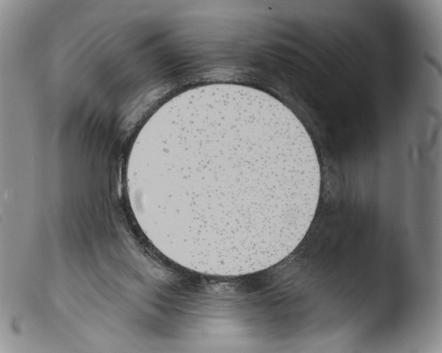 X0000103490062200810241111