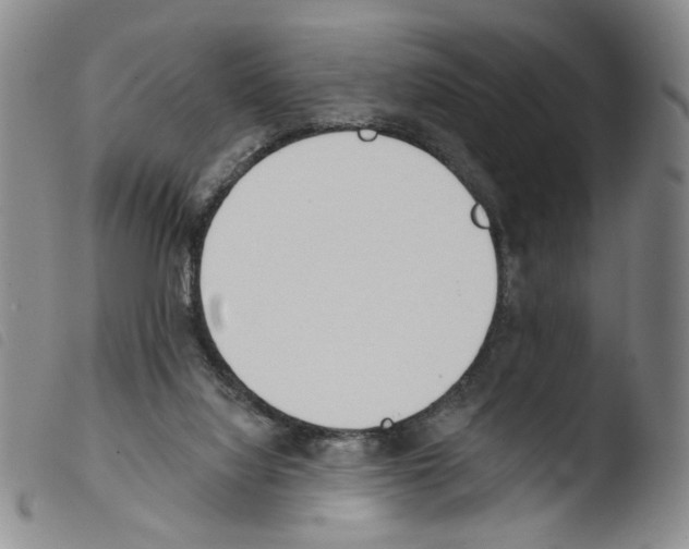 X0000103490068200810241111