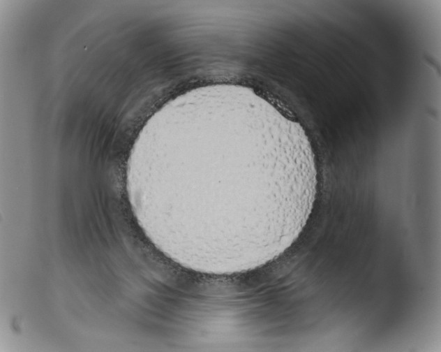 X0000103490069200810241111