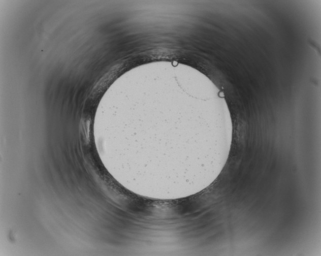 X0000103490070200810241111