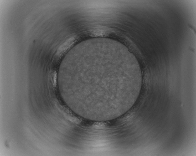 X0000103490076200810241111