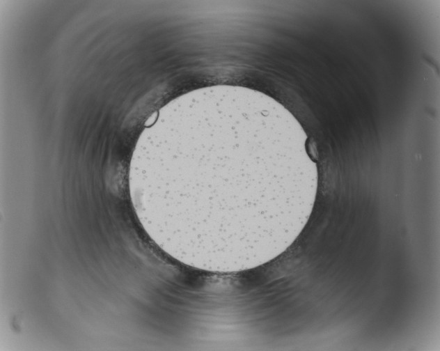 X0000103490077200810241111