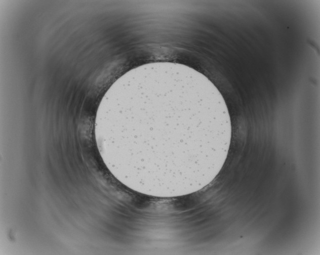 X0000103490078200810241111