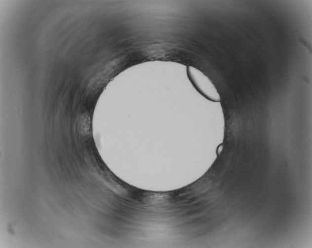 X0000103490081200810241111