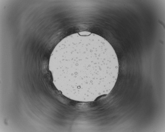 X0000103490082200810241111