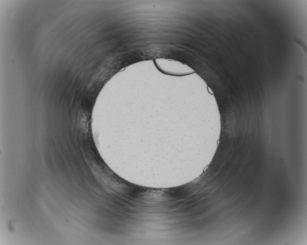 X0000103490086200810241111