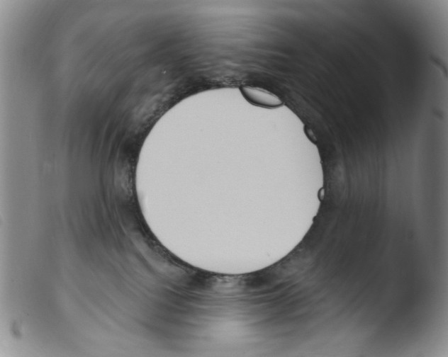 X0000103490088200810241111