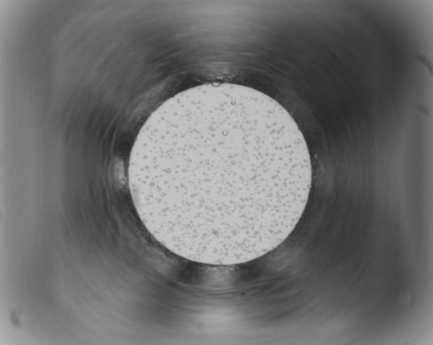 X0000103490089200810241111