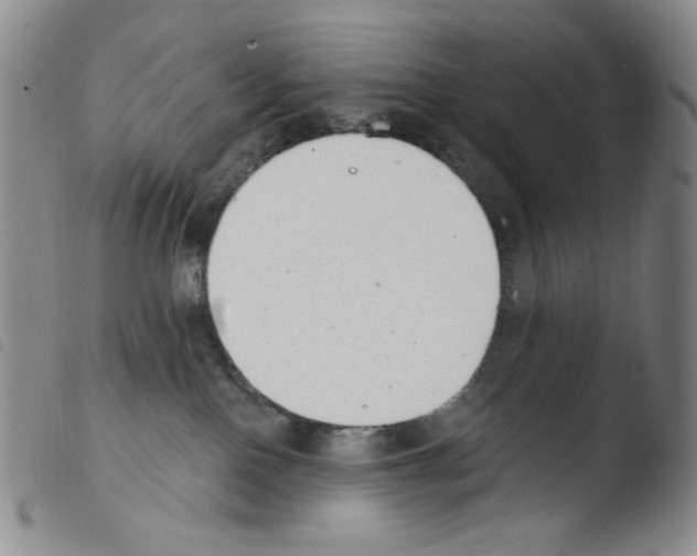 X0000103490090200810241111