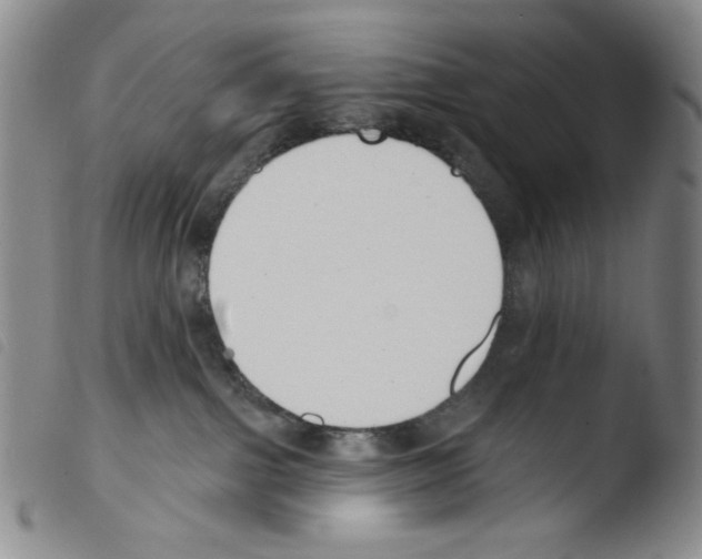 X0000103490091200810241111