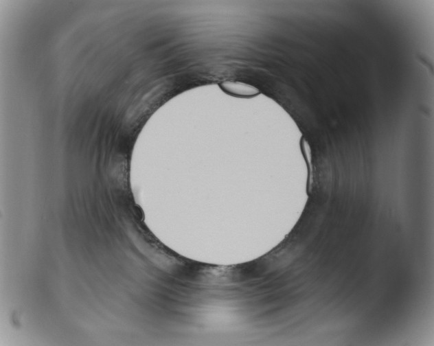 X0000103490092200810241111