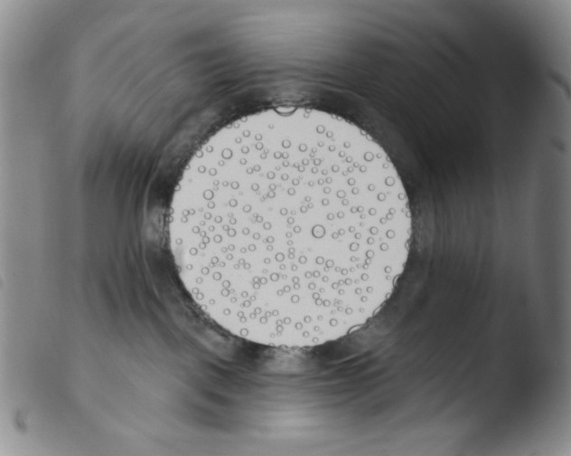 X0000103490093200810241111