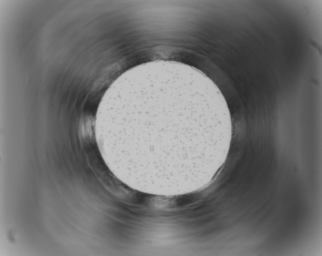 X0000103490094200810241111