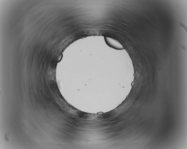 X0000103490096200810241111