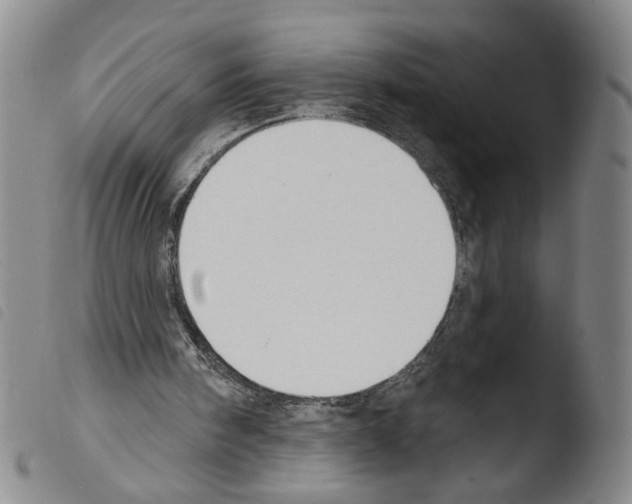 X0000103490098200810241111