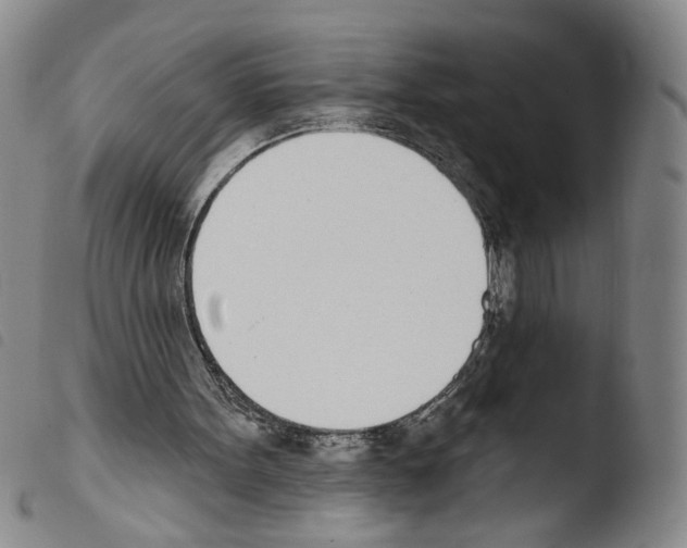 X0000103490099200810241111